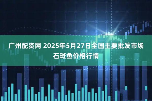 广州配资网 2025年5月27日全国主要批发市场石斑鱼价格行情