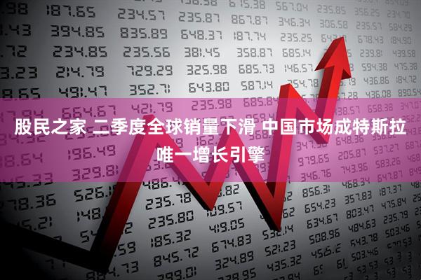 股民之家 二季度全球销量下滑 中国市场成特斯拉唯一增长引擎