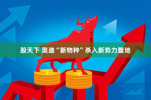 股天下 奥迪“新物种”杀入新势力腹地