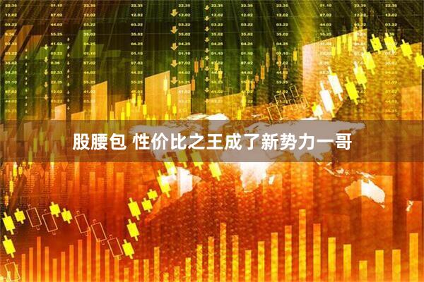 股腰包 性价比之王成了新势力一哥