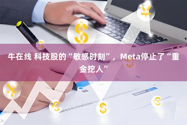 牛在线 科技股的“敏感时刻”，Meta停止了“重金挖人”