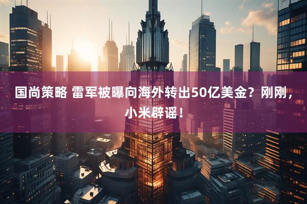 国尚策略 雷军被曝向海外转出50亿美金？刚刚，小米辟谣！