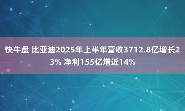快牛盘 比亚迪2025年上半年营收3712.8亿增长23% 净利155亿增近14%