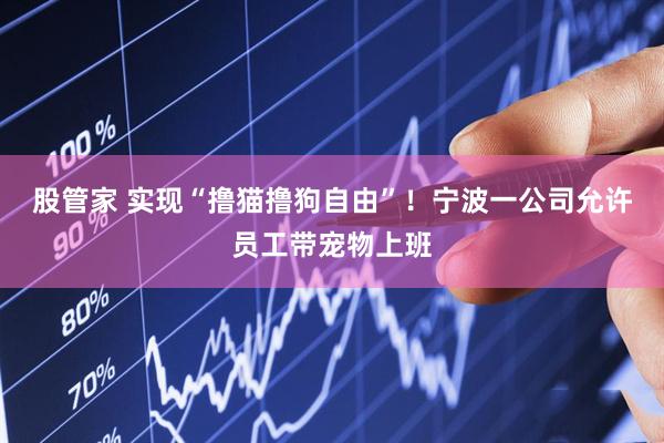 股管家 实现“撸猫撸狗自由”！宁波一公司允许员工带宠物上班