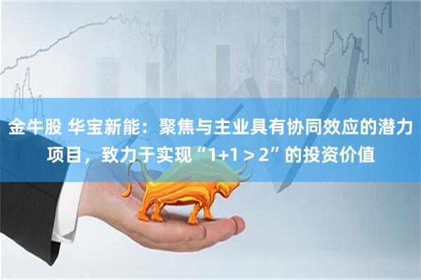 金牛股 华宝新能：聚焦与主业具有协同效应的潜力项目，致力于实现“1+1＞2”的投资价值